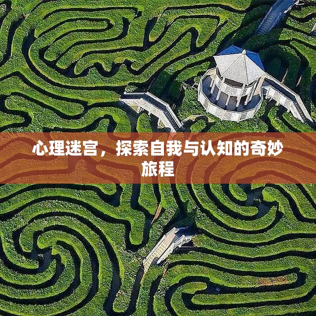 心理迷宮，探索自我與認(rèn)知的奇妙旅程