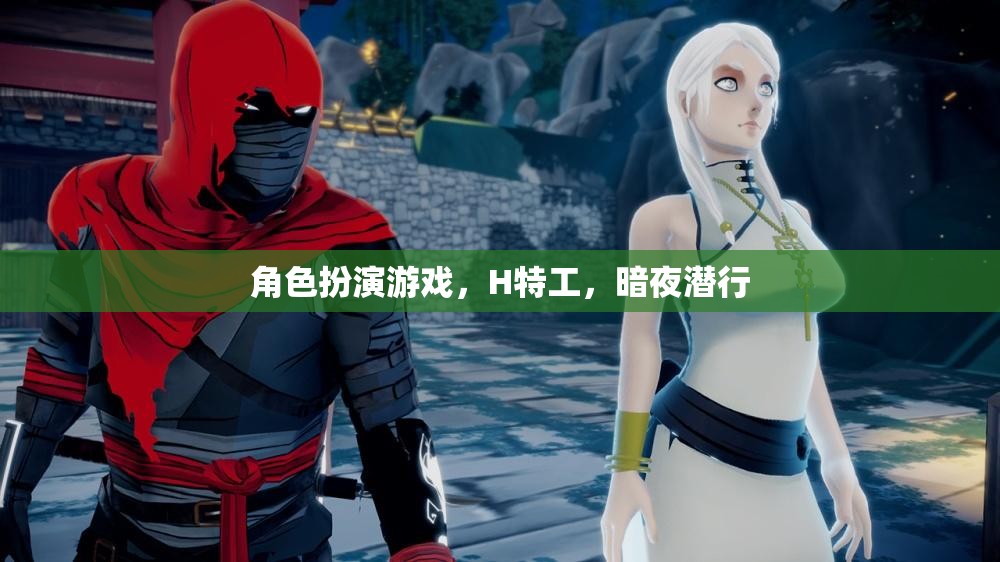 暗夜?jié)撔?，H特工的角色扮演游戲之旅