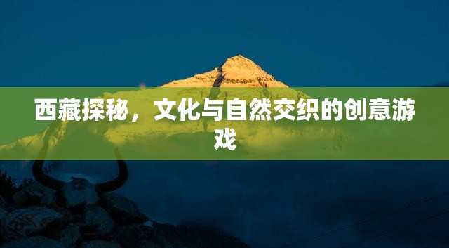 西藏探秘，文化與自然交織的創(chuàng)意冒險(xiǎn)之旅  第2張