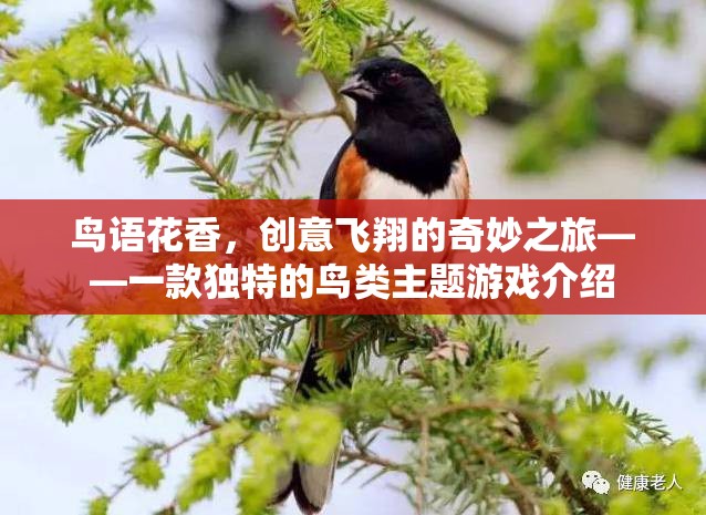 鳥語花香，創(chuàng)意飛翔的奇妙之旅——探索獨(dú)特的鳥類主題游戲