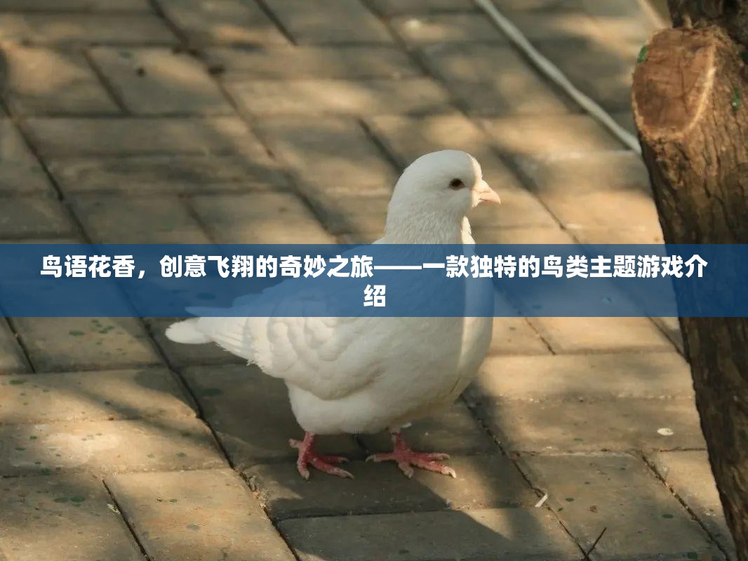 鳥語花香，創(chuàng)意飛翔的奇妙之旅——探索獨(dú)特的鳥類主題游戲