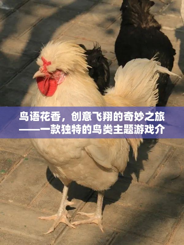鳥語花香，創(chuàng)意飛翔的奇妙之旅——探索獨(dú)特的鳥類主題游戲