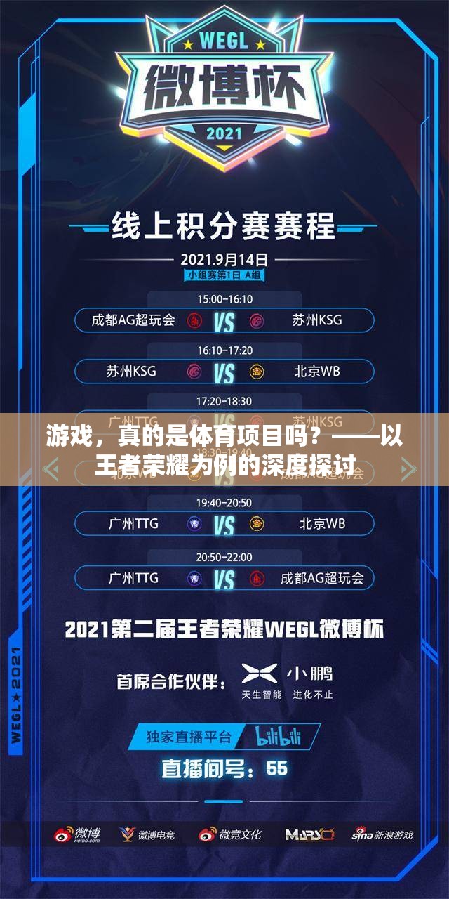 王者榮耀，游戲是否應被視為體育項目？