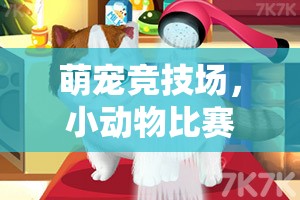 萌寵競技場，小動物比賽體育游戲全解析