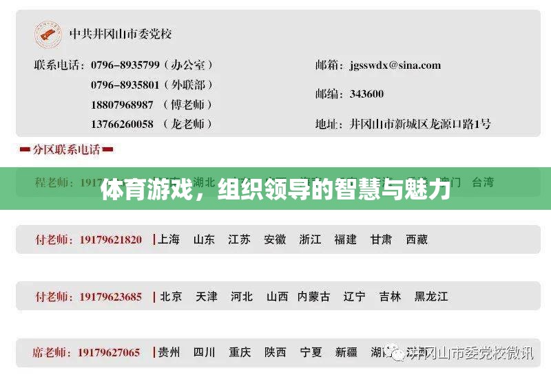 體育游戲中的領(lǐng)導(dǎo)智慧與魅力，激發(fā)團(tuán)隊(duì)潛能的秘訣