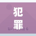 邊緣智慧，犯罪創(chuàng)意游戲的較量  第2張