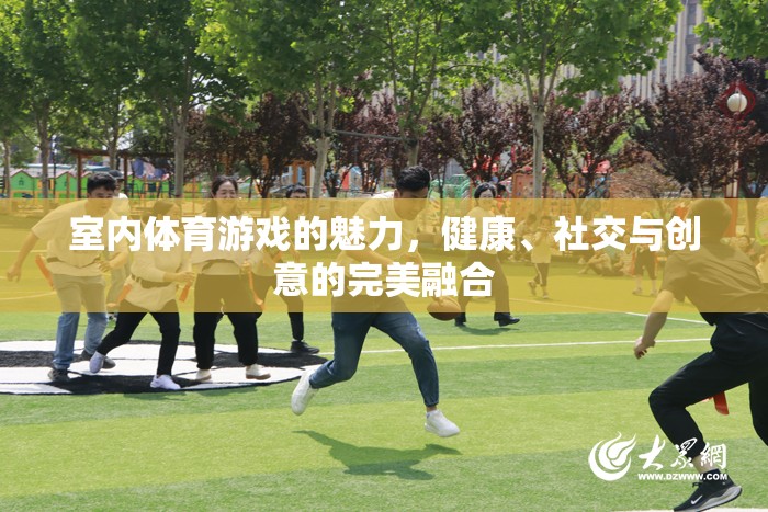 室內(nèi)體育游戲，健康、社交與創(chuàng)意的完美融合