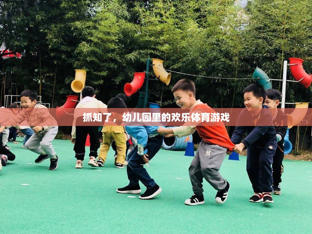 抓知了，幼兒園里的歡樂體育游戲