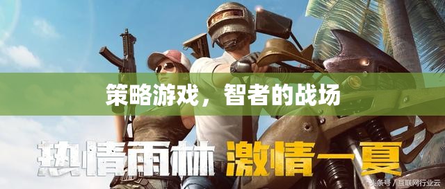 智者的戰(zhàn)場，策略游戲的智慧對決