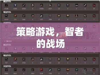 智者的戰(zhàn)場，策略游戲的智慧對決