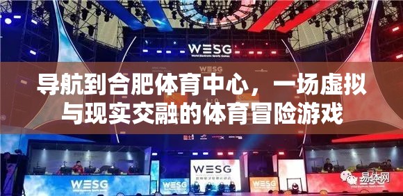 虛擬與現(xiàn)實(shí)交織的體育冒險(xiǎn)，合肥體育中心之旅