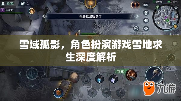 雪域孤影，角色扮演游戲雪地求生深度解析