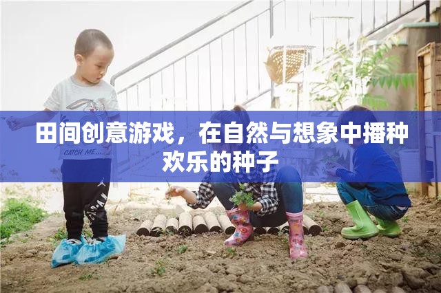 田間創(chuàng)意游戲，播種歡樂的種子在自然與想象中