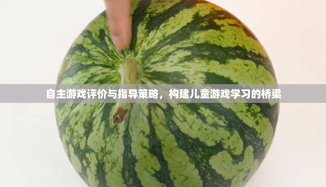 自主游戲評(píng)價(jià)與指導(dǎo)策略，搭建兒童游戲?qū)W習(xí)的橋梁