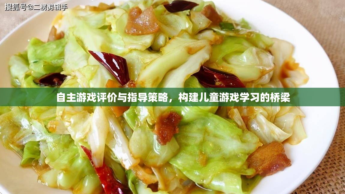 自主游戲評(píng)價(jià)與指導(dǎo)策略，搭建兒童游戲?qū)W習(xí)的橋梁