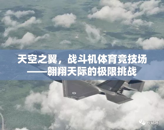 天空之翼，戰(zhàn)斗機體育競技場——極限挑戰(zhàn)的翱翔之旅