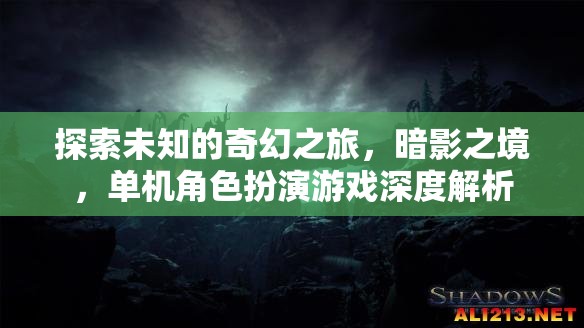 暗影之境，探索未知的奇幻之旅——單機(jī)角色扮演游戲深度解析