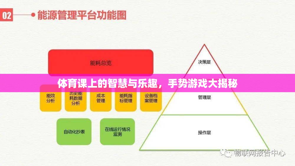 體育課上的智慧與樂趣，手勢游戲大揭秘