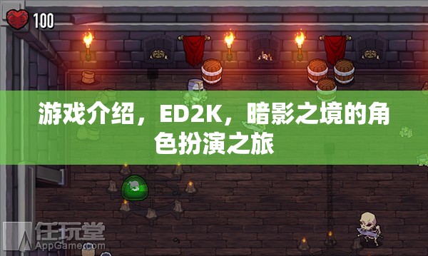 ED2K暗影之境，沉浸式角色扮演的奇幻之旅