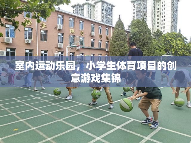 室內運動樂園，小學生體育項目的創(chuàng)意游戲集錦