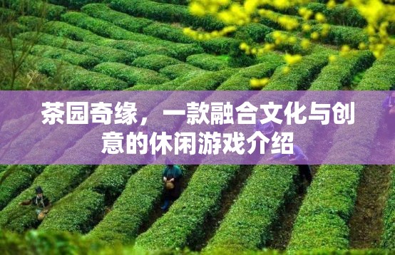 茶園奇緣，文化與創(chuàng)意的休閑游戲之旅