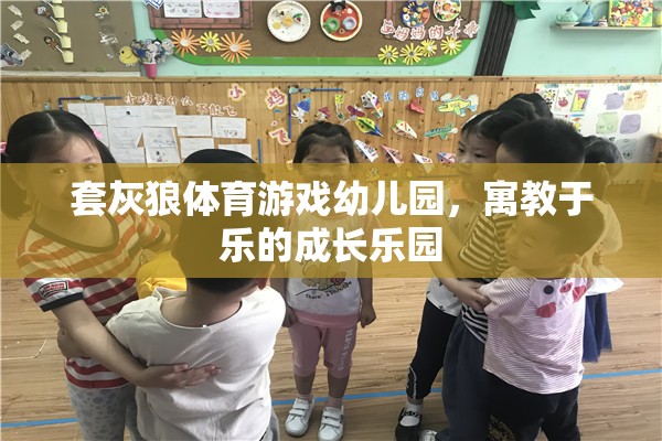 套灰狼體育游戲幼兒園，寓教于樂的成長樂園