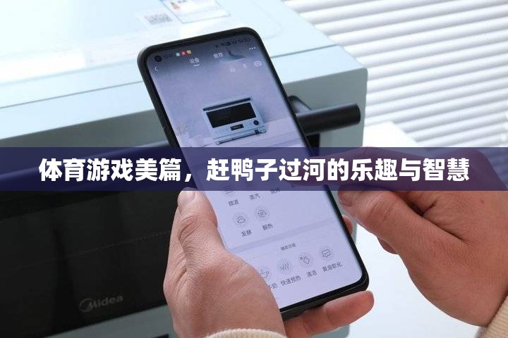 趕鴨子過(guò)河，體育游戲中的樂(lè)趣與智慧