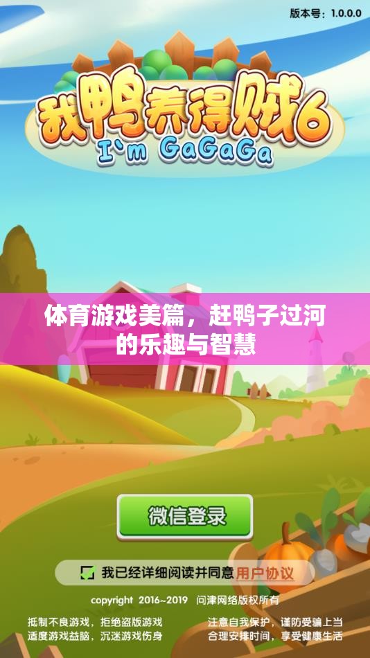 趕鴨子過(guò)河，體育游戲中的樂(lè)趣與智慧