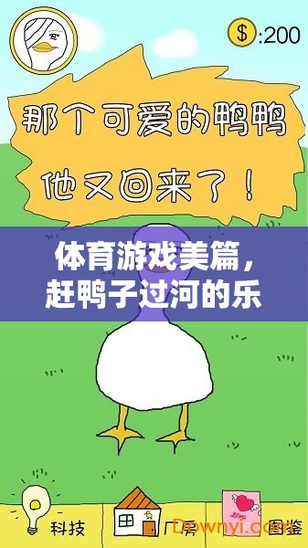趕鴨子過(guò)河，體育游戲中的樂(lè)趣與智慧