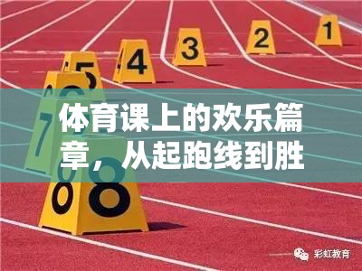 體育課上的歡樂篇章，從起跑線到勝利的擁抱——一場(chǎng)別開生面的體育游戲介紹