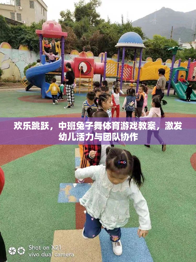 歡樂跳躍，中班兔子舞體育游戲教案，激發(fā)幼兒活力與團(tuán)隊(duì)協(xié)作