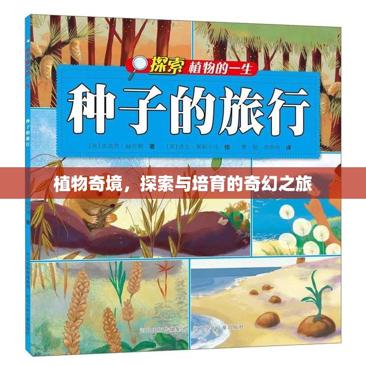 植物奇境，探索與培育的奇幻之旅  第3張