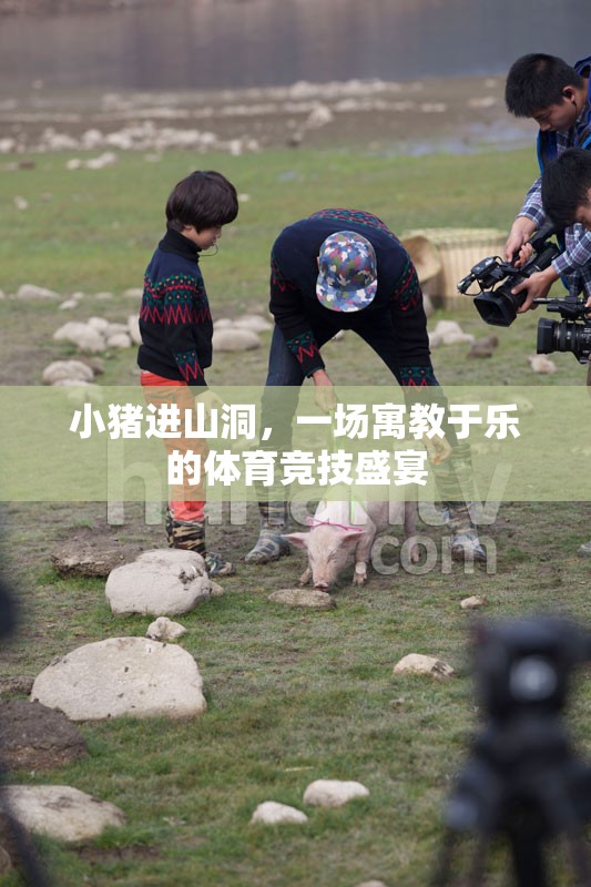 寓教于樂，小豬進(jìn)山洞的體育競技盛宴