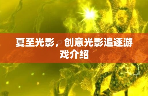 夏至光影，探索創(chuàng)意光影追逐游戲的樂趣