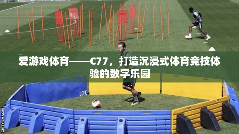 C77，愛游戲體育的數(shù)字樂園，打造沉浸式體育競技新體驗(yàn)