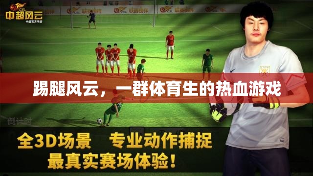 熱血踢腿，體育生的青春競技