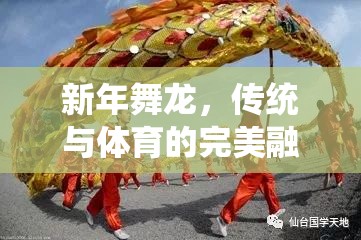 新年舞龍，傳統(tǒng)文化的現(xiàn)代體育演繹——?jiǎng)?chuàng)意體育游戲教案