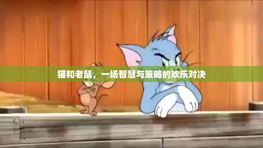 貓鼠智斗，歡樂對決中的智慧與策略