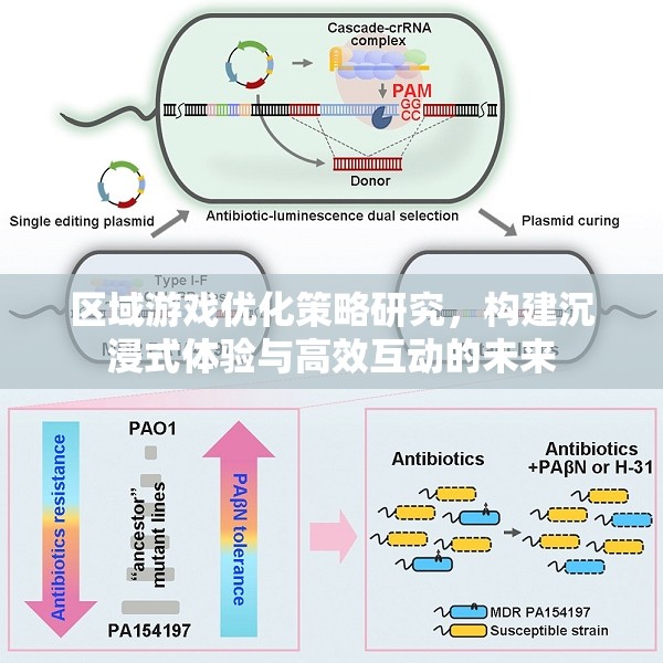 區(qū)域游戲優(yōu)化策略研究，構建沉浸式體驗與高效互動的未來