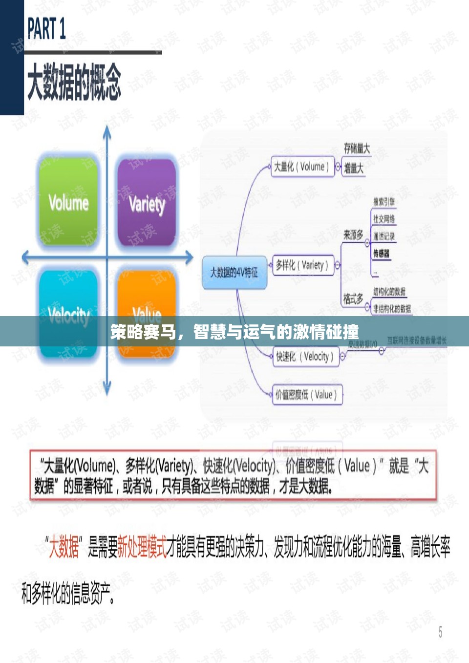 智慧與運(yùn)氣的激情碰撞，策略賽馬