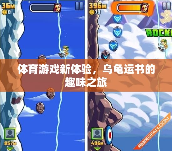 烏龜運書，解鎖體育游戲新體驗的趣味之旅