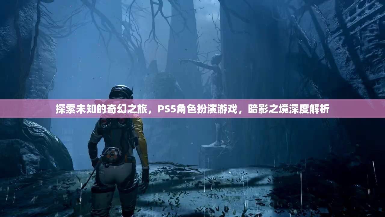 探索未知的奇幻之旅，PS5角色扮演游戲，暗影之境深度解析