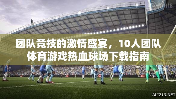 熱血球場，10人團隊體育游戲下載指南，點燃團隊競技的激情盛宴