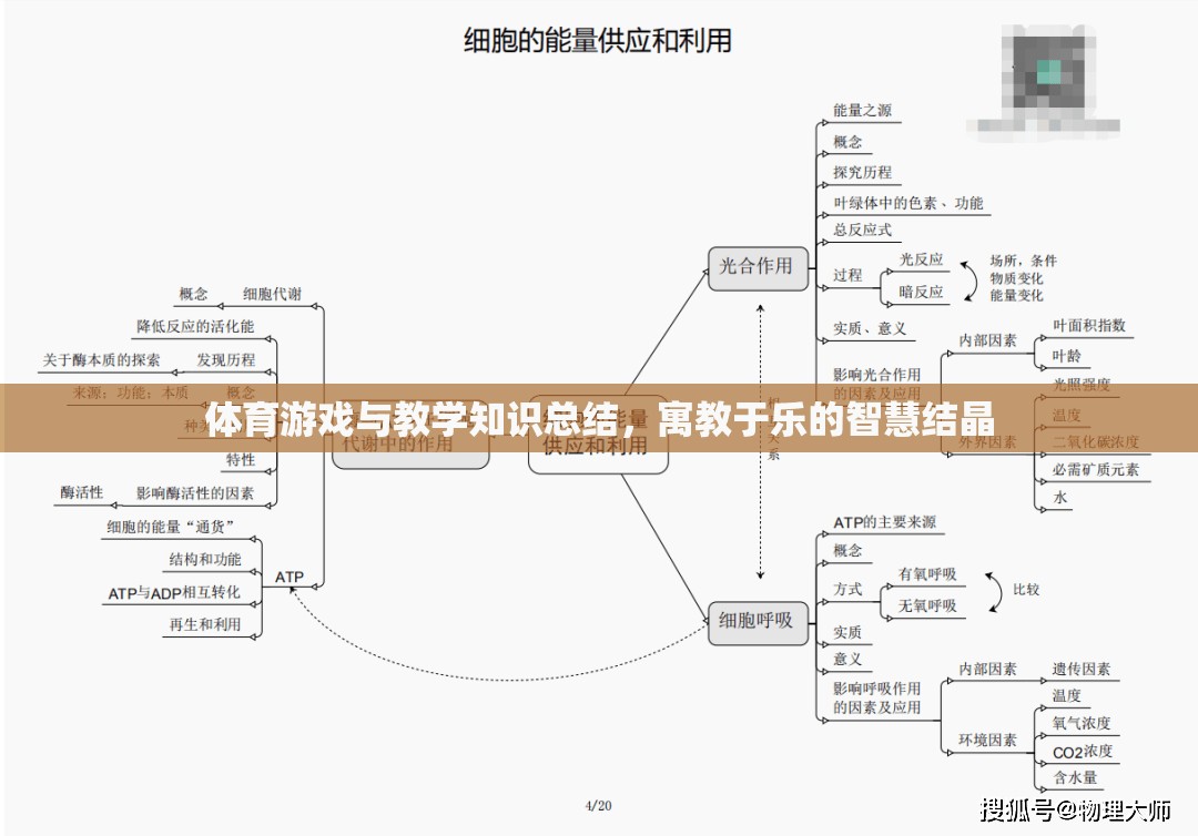 寓教于樂，體育游戲與教學(xué)知識(shí)的智慧結(jié)晶