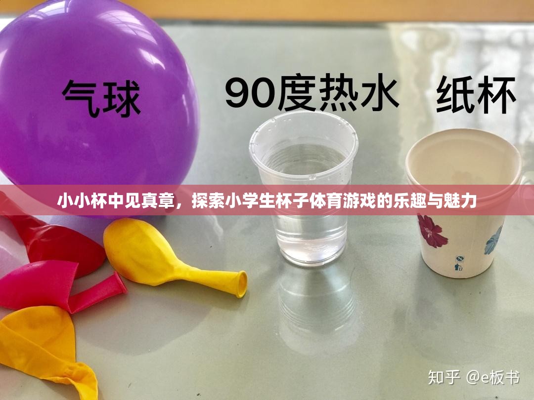 小小杯中見真章，探索小學(xué)生杯子體育游戲的樂趣與魅力