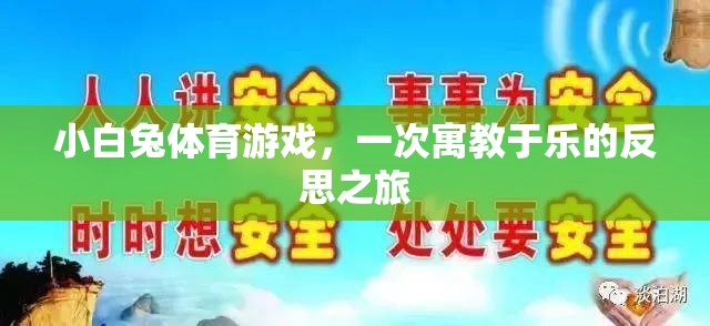 小白兔體育游戲，一次寓教于樂的反思之旅