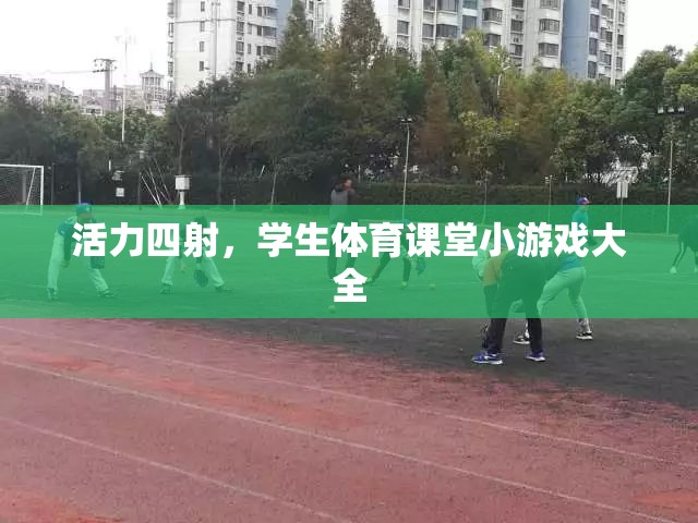 活力四射學(xué)生體育課堂小游戲精選  第3張