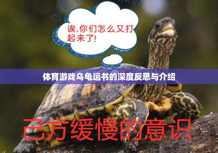 深度反思與介紹，體育游戲?yàn)觚斶\(yùn)書(shū)的挑戰(zhàn)與樂(lè)趣  第2張