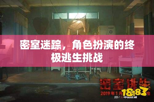 密室迷蹤，解鎖角色扮演的終極逃生挑戰(zhàn)