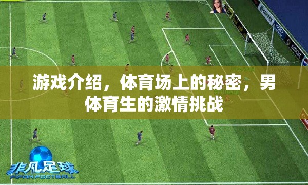 揭秘體育場上的秘密，男體育生的激情挑戰(zhàn)